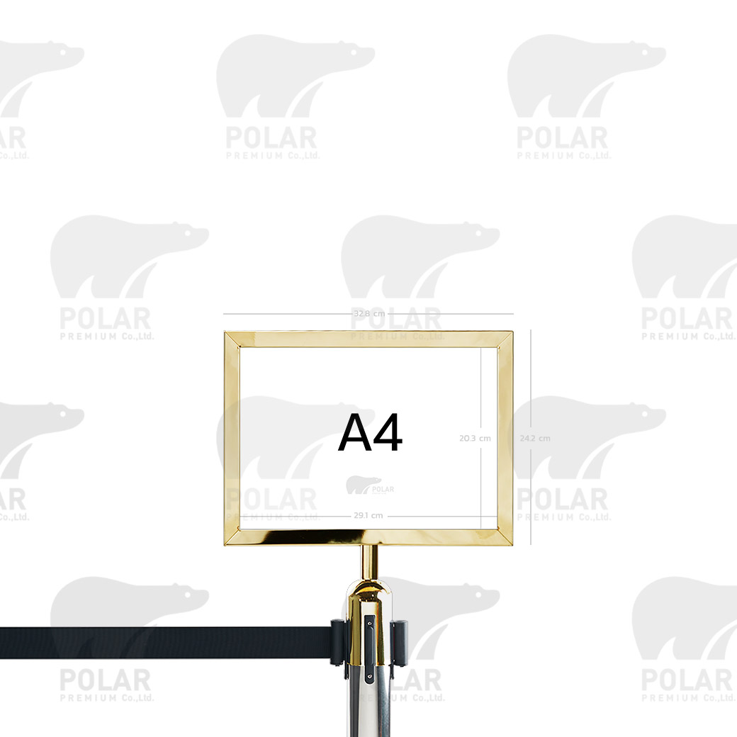 2p-a4-2-g.jpg