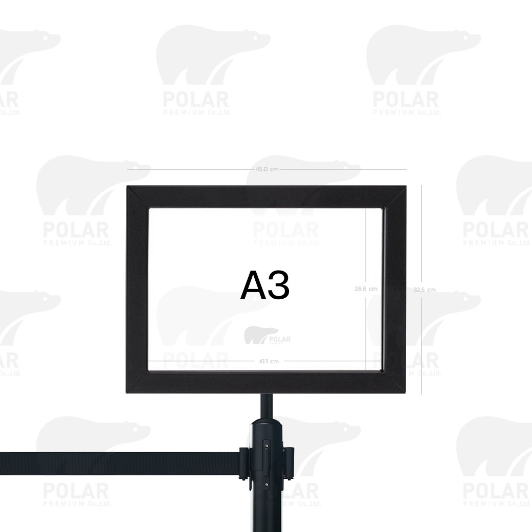 2p-a3-2-b.jpg